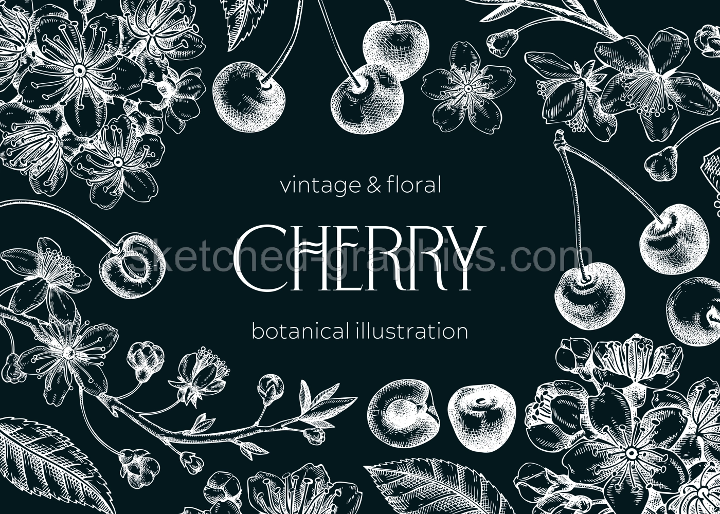 Berry fruit background. Cherry berries, leaves, flowers sketches on chalkboard. Cherry blossom hand-drawn vector illustration. Floral frame design. NOT AI genereted Illustration